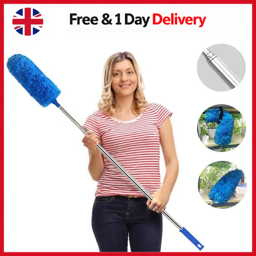 Feather duster - feather,